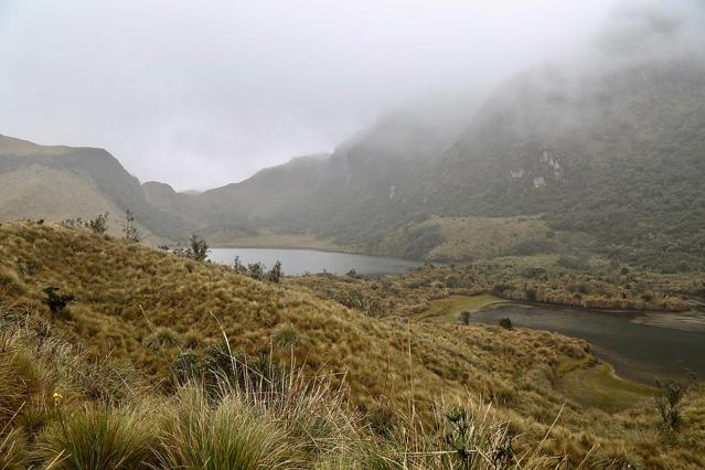 Cayambe Coca National Park